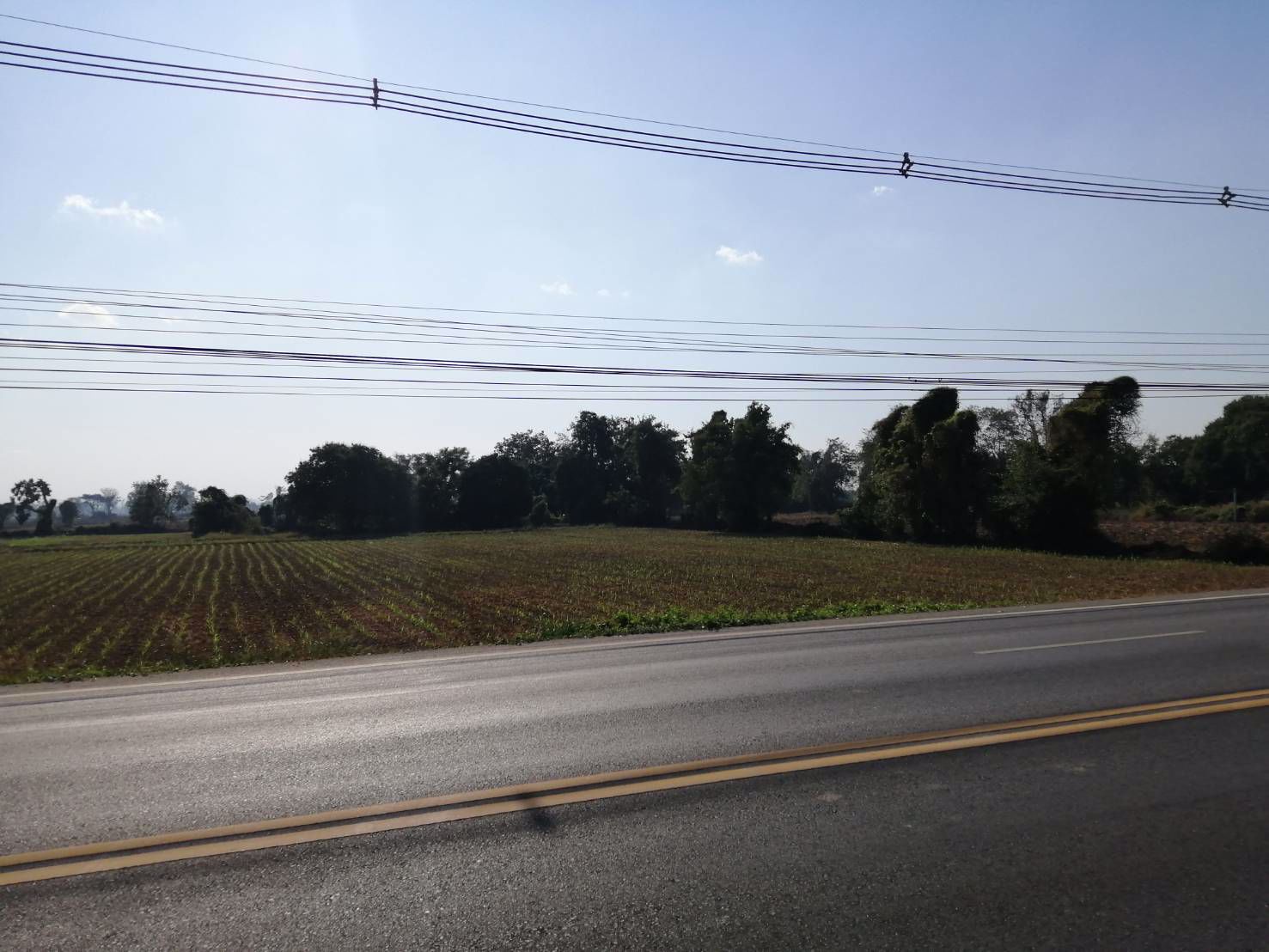 ขาย-ที่ดินทำเลดี-ติดถนน-4-เลน-เหมาะสำหรับทำธุรกิจ-ราคาถูก-อำเภอพิชัย-จังหวัดอุตรดิตถ์