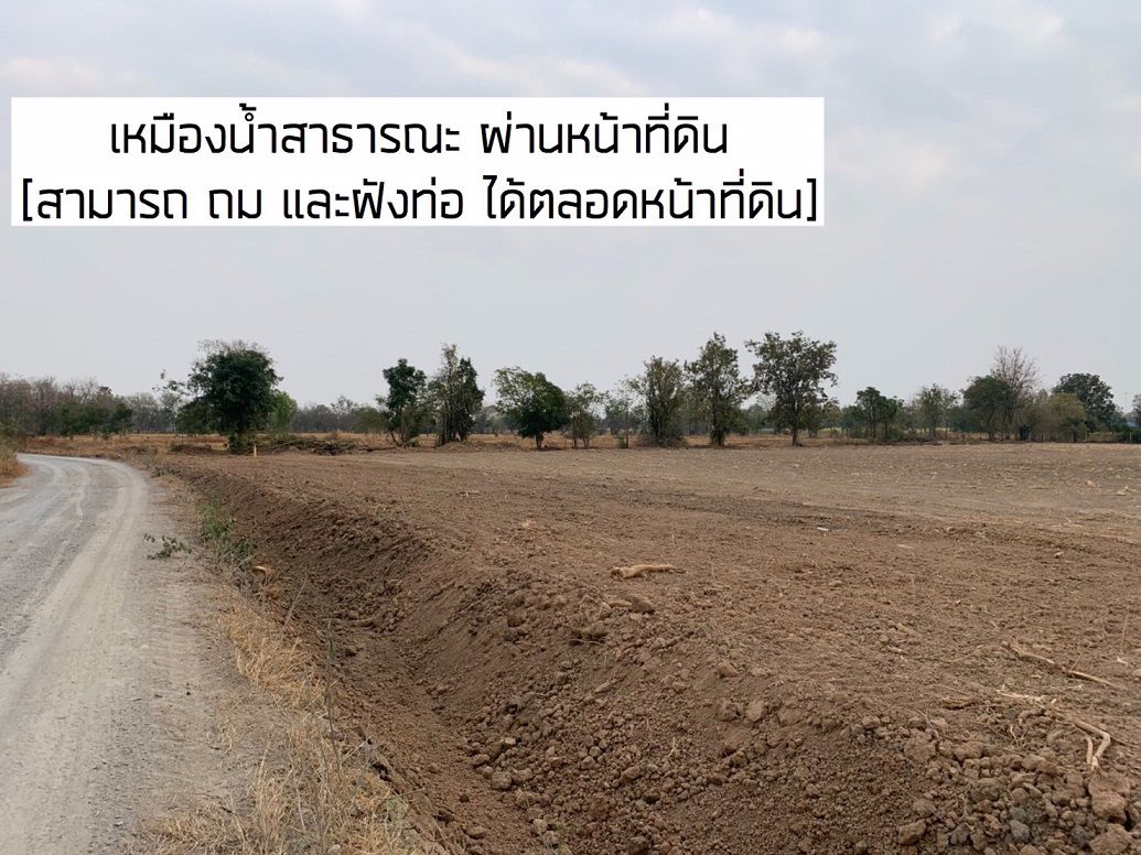 ขาย-ที่ดิน-12-ไร่-130-ตารางวา-เป็นที่ดินแบ่งขาย-โครงการ5-ใกล้ทางหลวง-333-จังหวัดสุพรรณบุรี