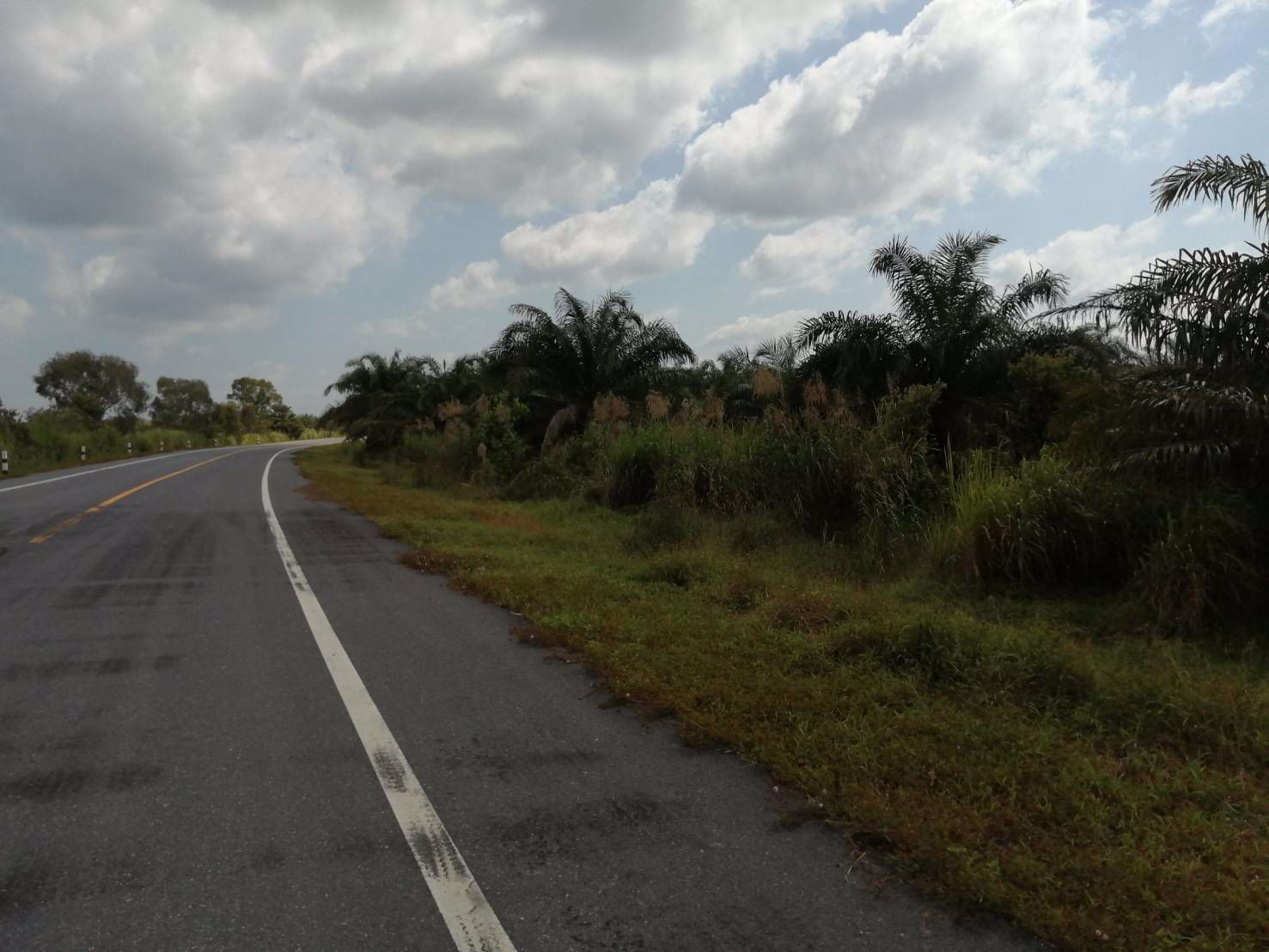 ขาย-ที่ดิน-แปลงใหญ่-ติดถนนดำ-ชะอวดนครศรีฯ-เหมาะสำหรับทำการเกษตรหรือสร้างโรงงาน-อำเภอเฉลิมพระเกียรติจ