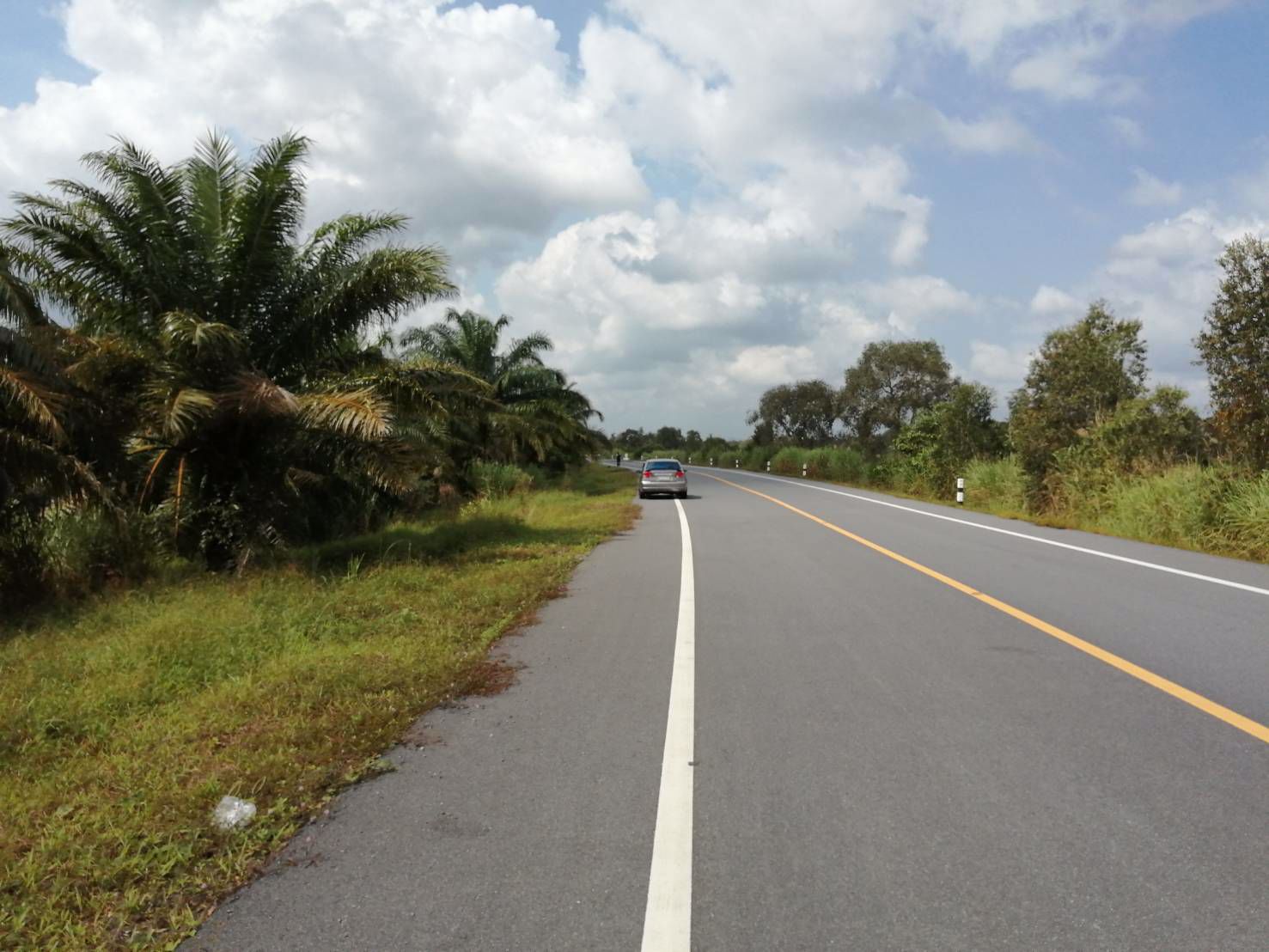 ขาย-ที่ดิน-แปลงใหญ่-ติดถนนดำ-ชะอวดนครศรีฯ-เหมาะสำหรับทำการเกษตรหรือสร้างโรงงาน-อำเภอเฉลิมพระเกียรติจ