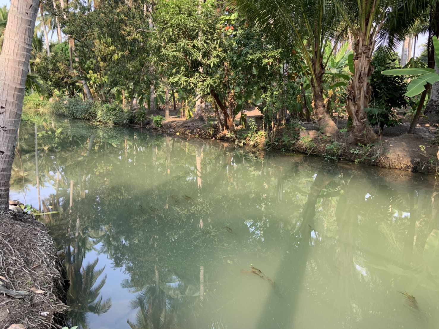 แบ่งขาย-ที่ดินสวย-ใกล้ตลาดน้ำดำเนินสะดวกระยะทาง-5-กม-และห่างจากตลาดน้ำอัมพวา-10-กมจังหวัดสมุทรสงคร