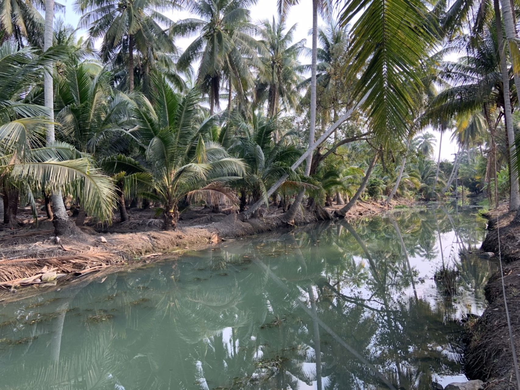 แบ่งขาย-ที่ดินสวย-ใกล้ตลาดน้ำดำเนินสะดวกระยะทาง-5-กม-และห่างจากตลาดน้ำอัมพวา-10-กมจังหวัดสมุทรสงคร