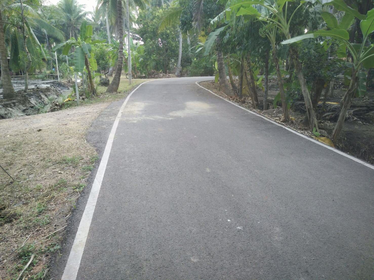 แบ่งขาย-ที่ดินสวย-ใกล้ตลาดน้ำดำเนินสะดวกระยะทาง-5-กม-และห่างจากตลาดน้ำอัมพวา-10-กมจังหวัดสมุทรสงคร