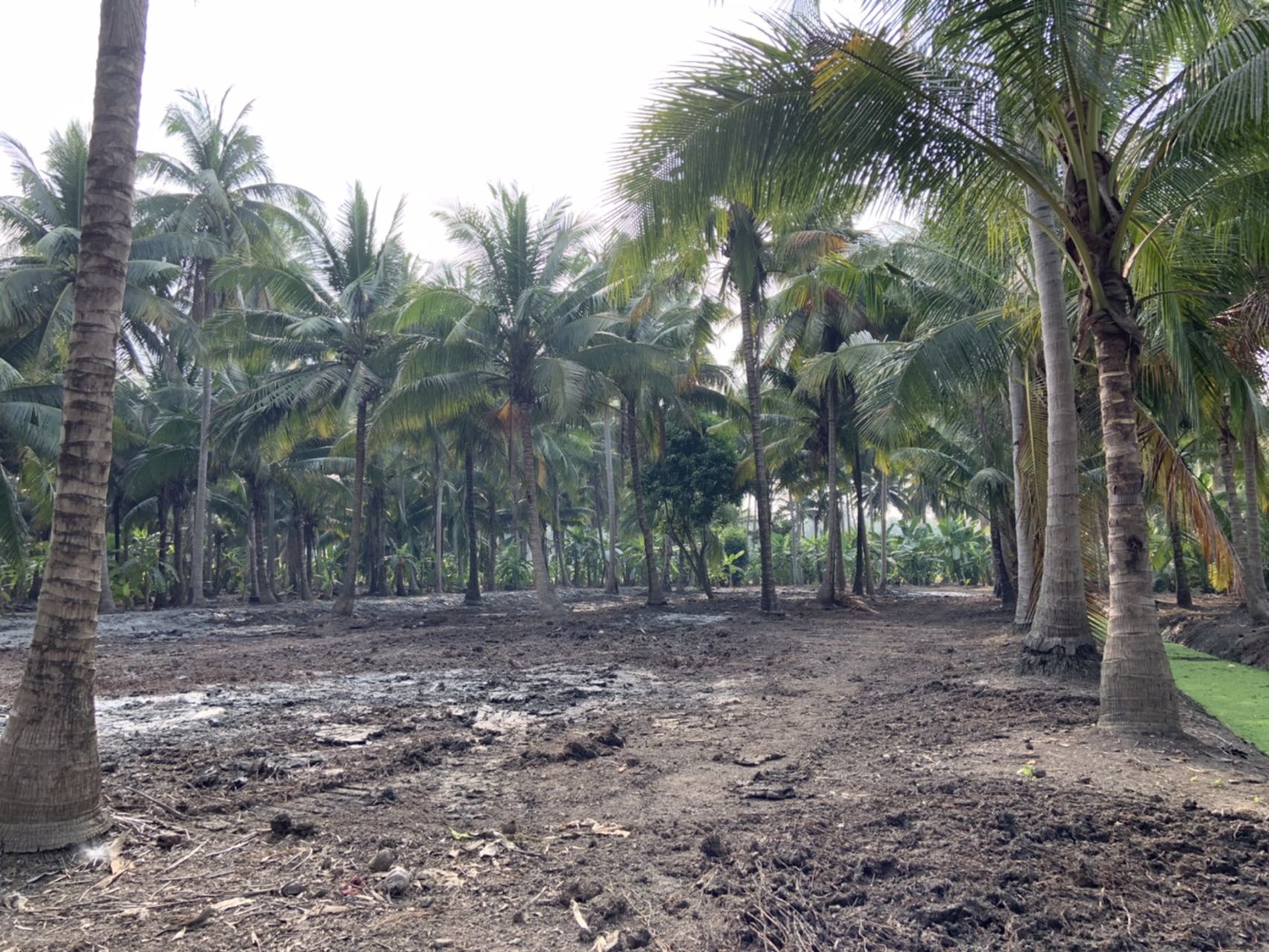 แบ่งขาย-ที่ดินสวย-ใกล้ตลาดน้ำดำเนินสะดวกระยะทาง-5-กม-และห่างจากตลาดน้ำอัมพวา-10-กมจังหวัดสมุทรสงคร