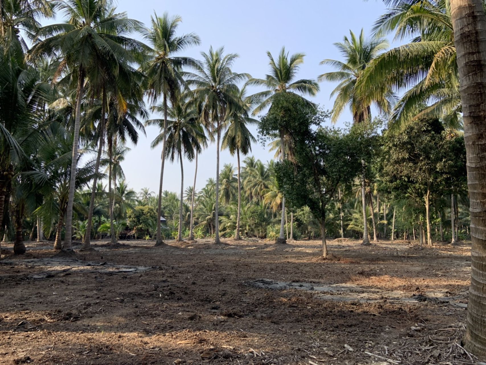 แบ่งขาย-ที่ดินสวย-ใกล้ตลาดน้ำดำเนินสะดวกระยะทาง-5-กม-และห่างจากตลาดน้ำอัมพวา-10-กมจังหวัดสมุทรสงคร