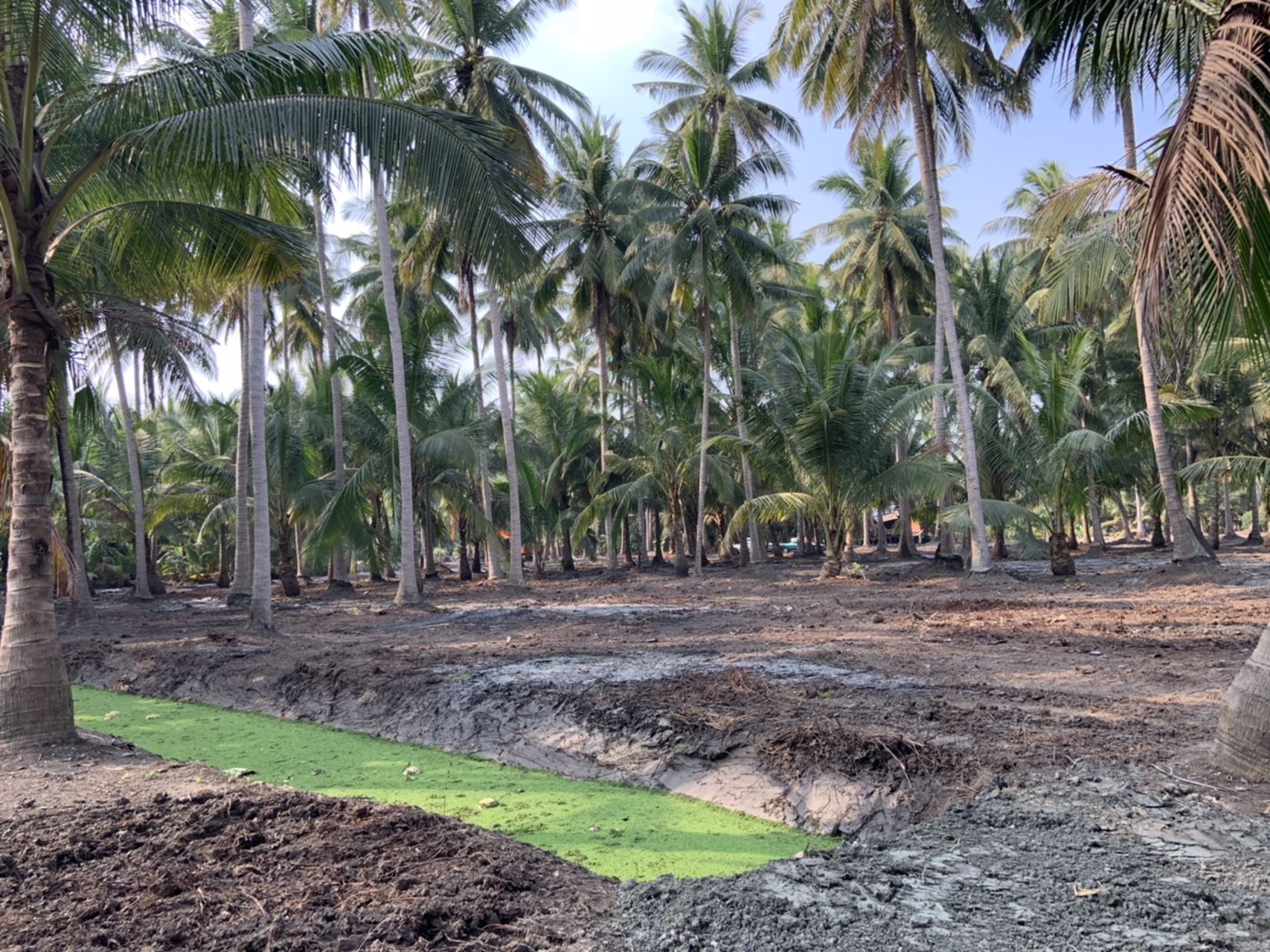 แบ่งขาย-ที่ดินสวย-ใกล้ตลาดน้ำดำเนินสะดวกระยะทาง-5-กม-และห่างจากตลาดน้ำอัมพวา-10-กมจังหวัดสมุทรสงคร