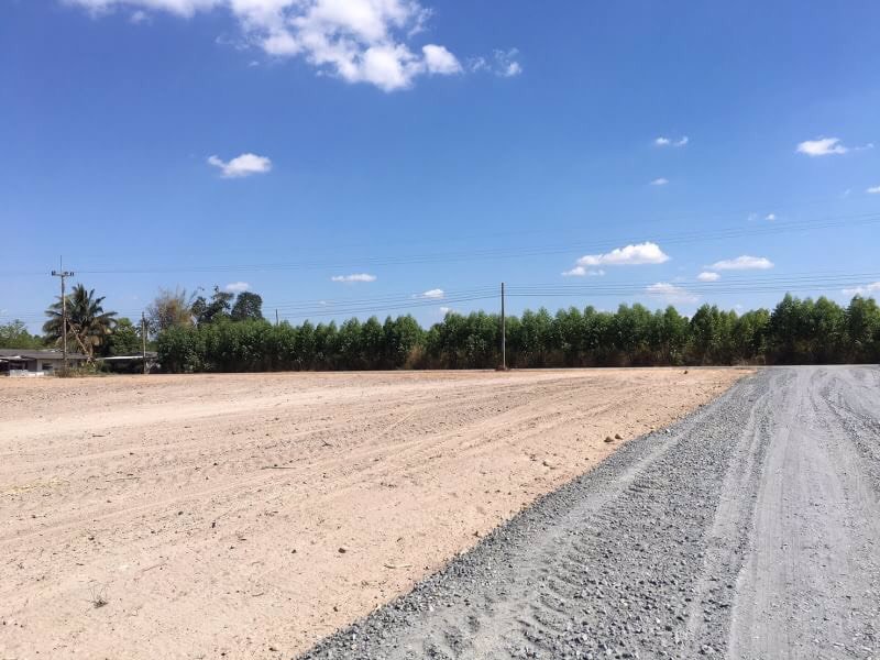 แบ่งขาย-ที่ดินสวยมาก-พนัสนิคมแลนด์-เฟส-8-ไม่ต้องถม-ใกล้แหล่งชุมชน-เหมาะสำหรับการสร้างที่อยู่อาศัย