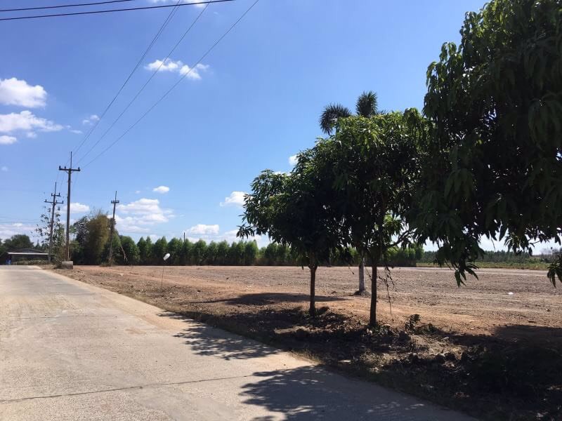 แบ่งขาย-ที่ดินสวยมาก-พนัสนิคมแลนด์-เฟส-8-ไม่ต้องถม-ใกล้แหล่งชุมชน-เหมาะสำหรับการสร้างที่อยู่อาศัย