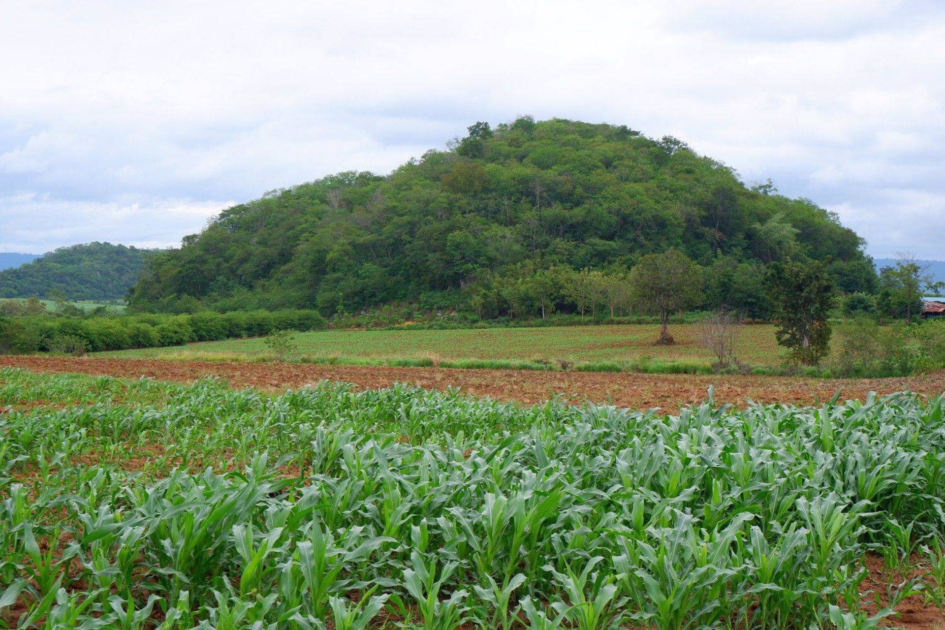 ขายด่วน-ที่ดิน-เนินเขาติดถนนดำ-เหมาะสำหรับสร้างที่พัก-ทำเกษตร-น้ำไฟเข้าถึง-อำเภอปากช่อง-จังหวัดนครรา
