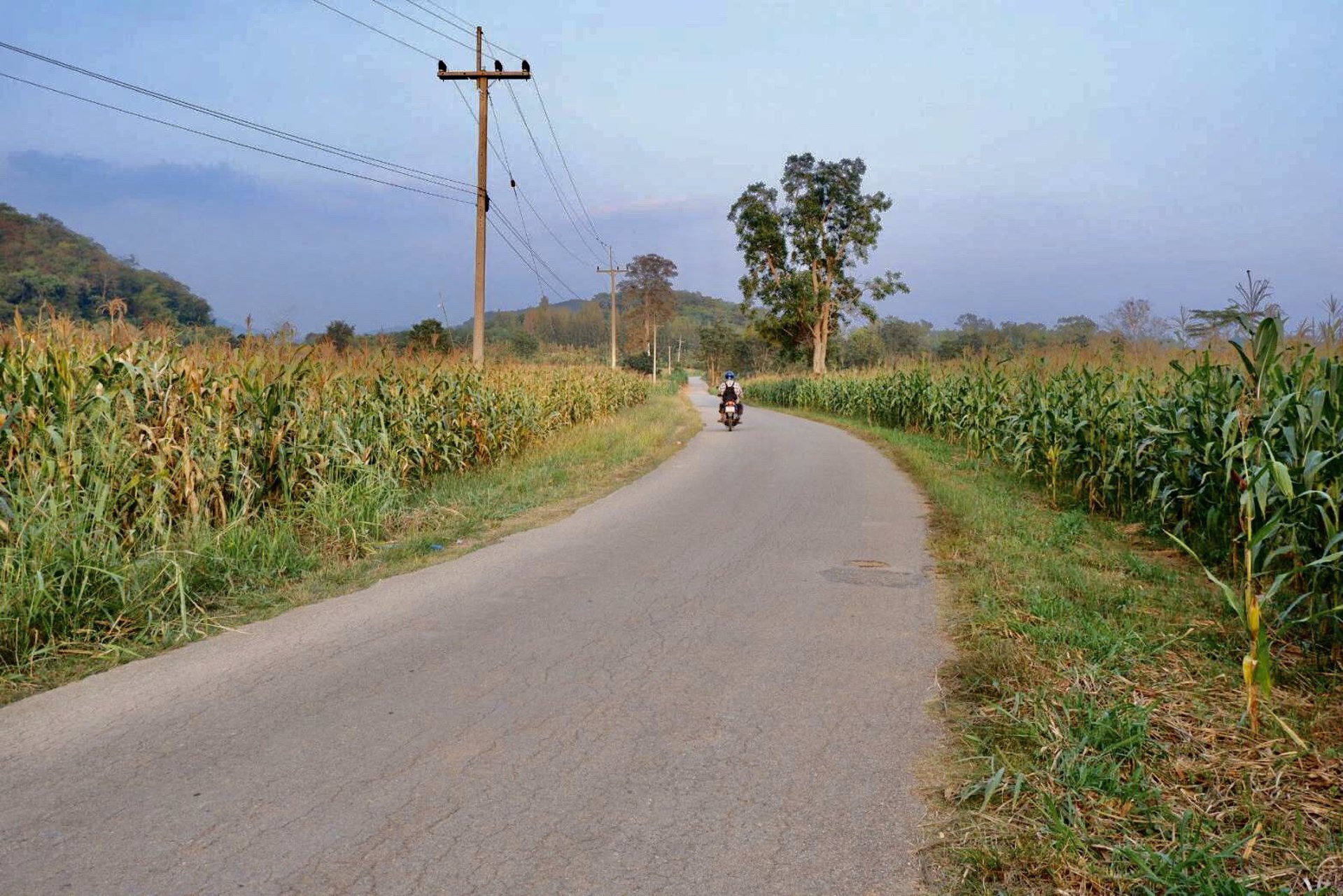 ขายด่วน-ที่ดิน-เนินเขาติดถนนดำ-เหมาะสำหรับสร้างที่พัก-ทำเกษตร-น้ำไฟเข้าถึง-อำเภอปากช่อง-จังหวัดนครรา