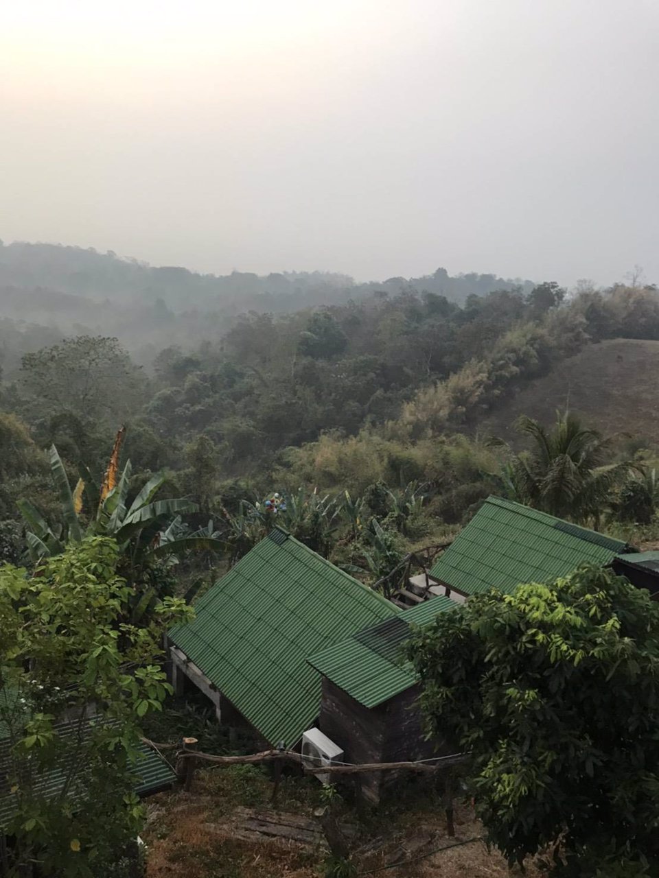 ขายด่วน-รีสอร์ท-บ้านระเบียงผา-ทำเลสวยมาก-วิวสวย-อากาศดี-เจ้าของขายเอง-เอกสารครบพร้อมจบ-พร้อมทำต่อได้