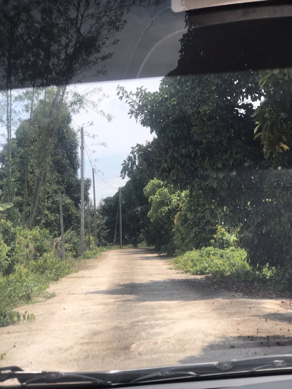 ขาย-สวนเงาะ-ขนาด-4-ไร่-89-ตารางวา-ห่างจากตลาดหรือถนนสุขุมวิท-4-โล-อำเภอขลุง-จังหวัดจันทบุรี