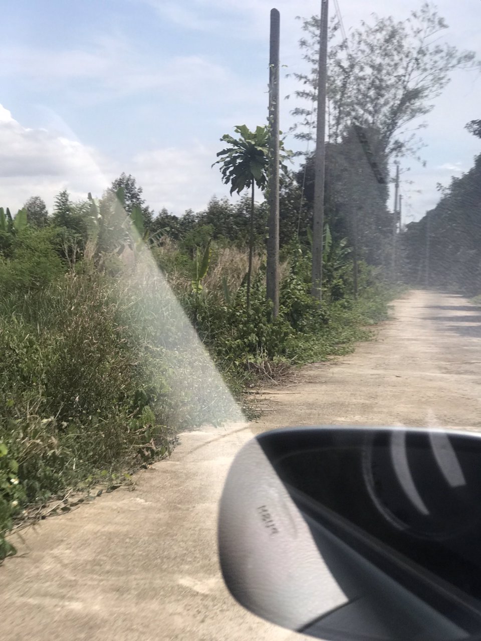 ขาย-สวนเงาะ-ขนาด-4-ไร่-89-ตารางวา-ห่างจากตลาดหรือถนนสุขุมวิท-4-โล-อำเภอขลุง-จังหวัดจันทบุรี