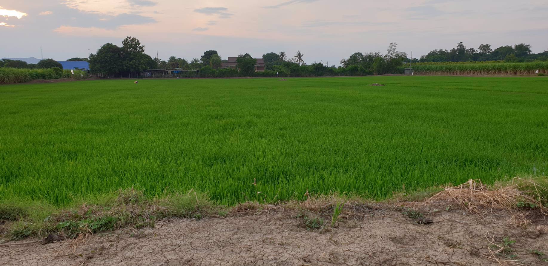 ขาย-ที่ดิน-อำเภอท่าม่วง-เมืองท่องเที่ยว-เมืองกำลังเจริญรองรับการเปิดใช้และอยู่ใกล้ทางด่วนมอเตอร์เวย์