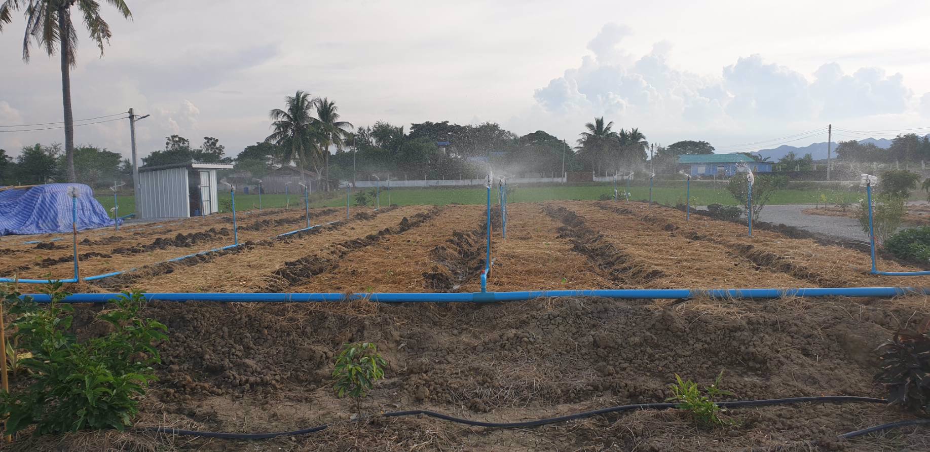 ขาย-ที่ดิน-อำเภอท่าม่วง-เมืองท่องเที่ยว-เมืองกำลังเจริญรองรับการเปิดใช้และอยู่ใกล้ทางด่วนมอเตอร์เวย์