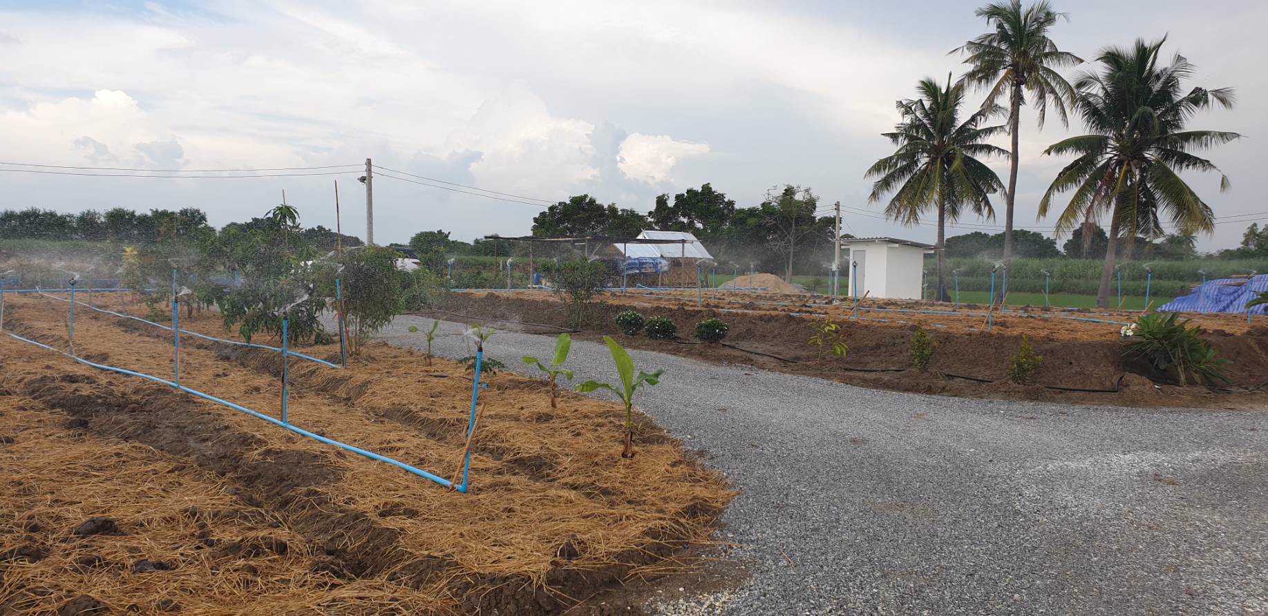 ขาย-ที่ดิน-อำเภอท่าม่วง-เมืองท่องเที่ยว-เมืองกำลังเจริญรองรับการเปิดใช้และอยู่ใกล้ทางด่วนมอเตอร์เวย์