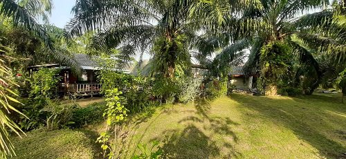 ขาย-บ้าน-พร้อมร้านขายของ-ติดถนน-บรรยากาศดี-สไตท์รีสอร์ท-อำเภอสวี-ชุมพร