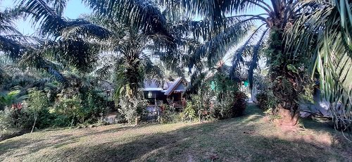 ขาย-บ้าน-พร้อมร้านขายของ-ติดถนน-บรรยากาศดี-สไตท์รีสอร์ท-อำเภอสวี-ชุมพร