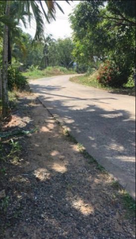 ขาย-ที่ดิน-พร้อมสิ่งปลูกสร้าง-ติดทะเล-เป็นทำเลอยู่อาศัย-บรรยากาศดี-ใกล้แหล่งท่องเที่ยวทางทะเล-เมืองต