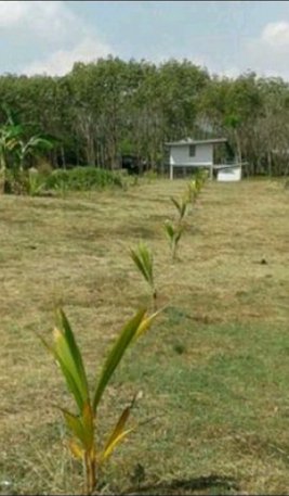 ขาย-ที่ดิน-พร้อมสิ่งปลูกสร้าง-ติดทะเล-เป็นทำเลอยู่อาศัย-บรรยากาศดี-ใกล้แหล่งท่องเที่ยวทางทะเล-เมืองต