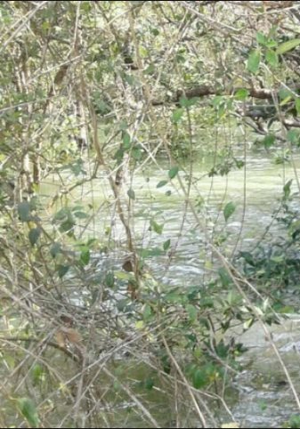 ขาย-ที่ดิน-พร้อมสิ่งปลูกสร้าง-ติดทะเล-เป็นทำเลอยู่อาศัย-บรรยากาศดี-ใกล้แหล่งท่องเที่ยวทางทะเล-เมืองต