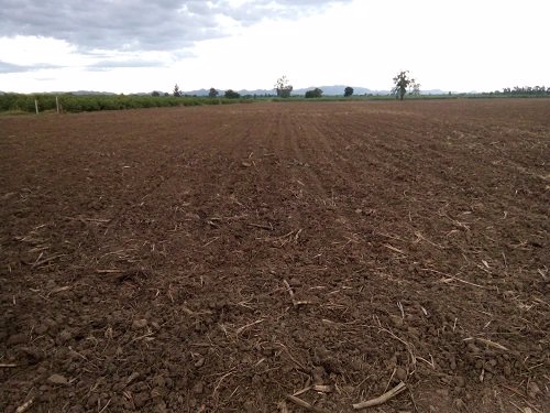 ขาย-ที่ดิน-ทำเลสวย-บรรยากาศดี-เหมาะสำหรับทำการเกษตร-หรือปลูกสร้าง-อำเภอสามเงา-จังหวัดตาก