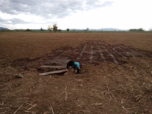 ขาย-ที่ดิน-ทำเลสวย-บรรยากาศดี-เหมาะสำหรับทำการเกษตร-หรือปลูกสร้าง-อำเภอสามเงา-จังหวัดตาก