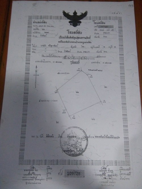 ขาย-ที่ดิน-ทำเลสวย-บรรยากาศดี-เหมาะสำหรับทำการเกษตร-หรือปลูกสร้าง-อำเภอสามเงา-จังหวัดตาก