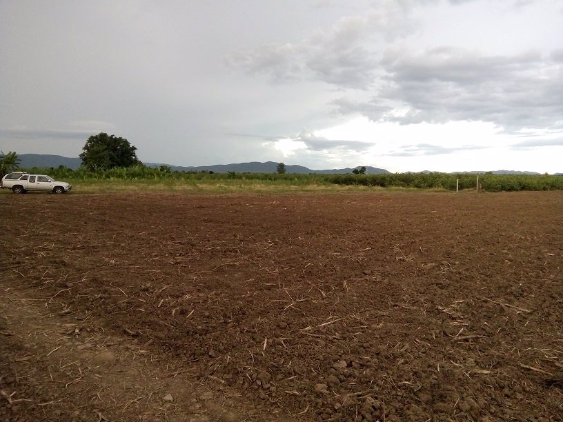 ขาย-ที่ดิน-ทำเลสวย-บรรยากาศดี-เหมาะสำหรับทำการเกษตร-หรือปลูกสร้าง-อำเภอสามเงา-จังหวัดตาก