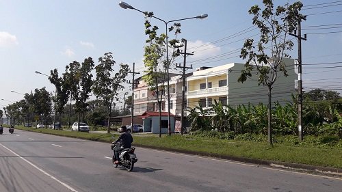 ขายตึกราคาถูกมาก-2-คูหาริมถนนใหญ่-ค้าขายได้-มีที่จอดรถด้านหน้า-เยื้องร้าน-scg-home-solotion