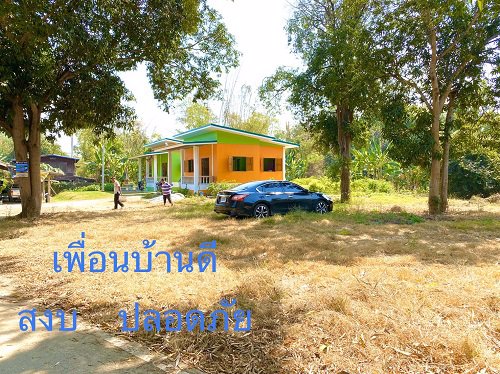 ขาย-ที่ดินสวยริมแม่น้ำน่าน-ทำเลดี-ติดถนนคอนกรีต-ราคาถูก-ขนาดเนื้อที่-253-ตารางวา-เมืองพิษณุโลก