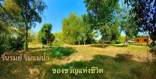 ขาย-ที่ดินสวยริมแม่น้ำน่าน-ทำเลดี-ติดถนนคอนกรีต-ราคาถูก-ขนาดเนื้อที่-253-ตารางวา-เมืองพิษณุโลก