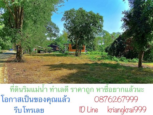ขาย-ที่ดินสวยริมแม่น้ำน่าน-ทำเลดี-ติดถนนคอนกรีต-ราคาถูก-ขนาดเนื้อที่-253-ตารางวา-เมืองพิษณุโลก