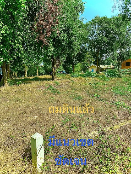 ขาย-ที่ดินสวยริมแม่น้ำน่าน-ทำเลดี-ติดถนนคอนกรีต-ราคาถูก-ขนาดเนื้อที่-253-ตารางวา-เมืองพิษณุโลก