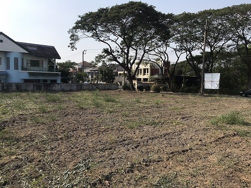 ขาย-ที่ดินเปล่าถมแล้ว-ติดถนนเมน-อยู่หมู่บ้านรวมเก้า-ซอยพุทธมลฑลสาย-2-ซอย-11