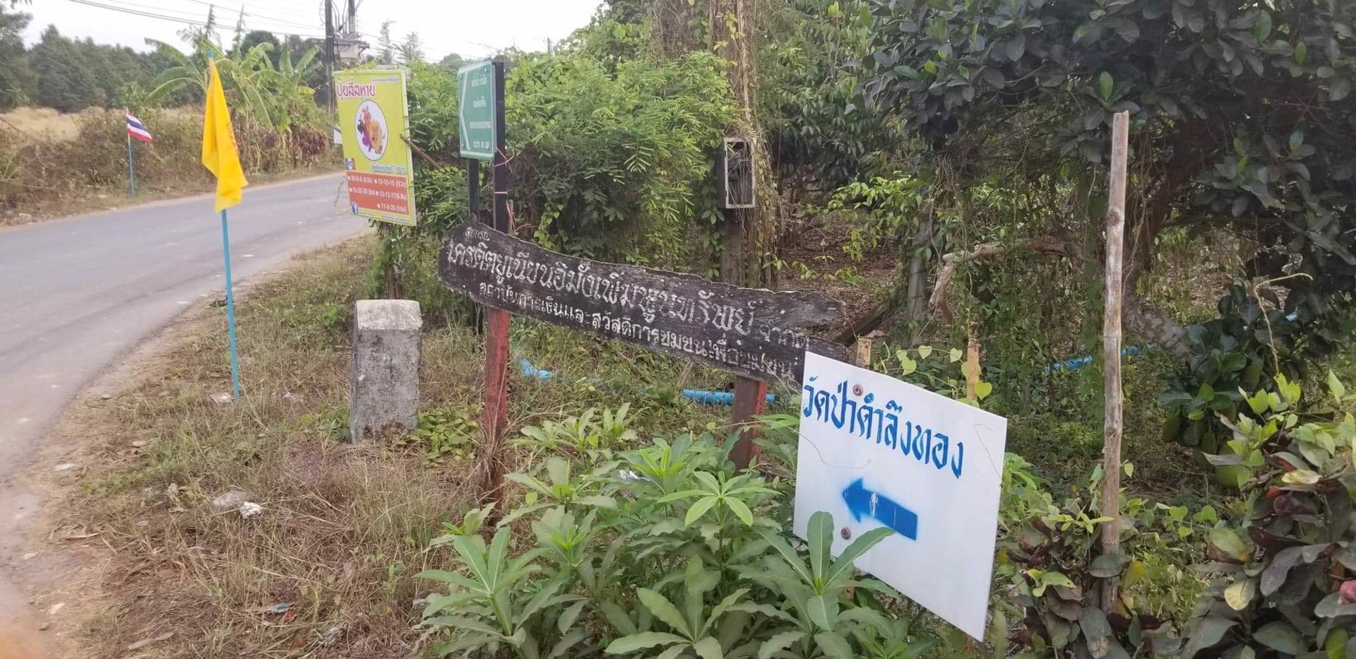 ขาย-สวนเงาะ-ขนาด-4-ไร่-89-ตารางวา-ห่างจากตลาดหรือถนนสุขุมวิท-4-โล-อำเภอขลุง-จังหวัดจันทบุรี