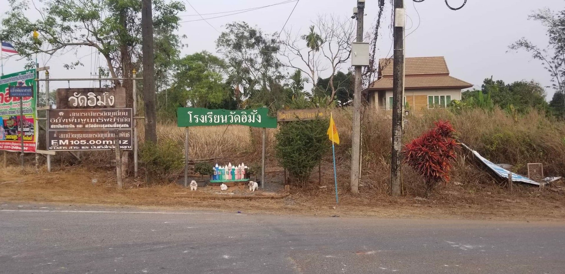 ขาย-สวนเงาะ-ขนาด-4-ไร่-89-ตารางวา-ห่างจากตลาดหรือถนนสุขุมวิท-4-โล-อำเภอขลุง-จังหวัดจันทบุรี