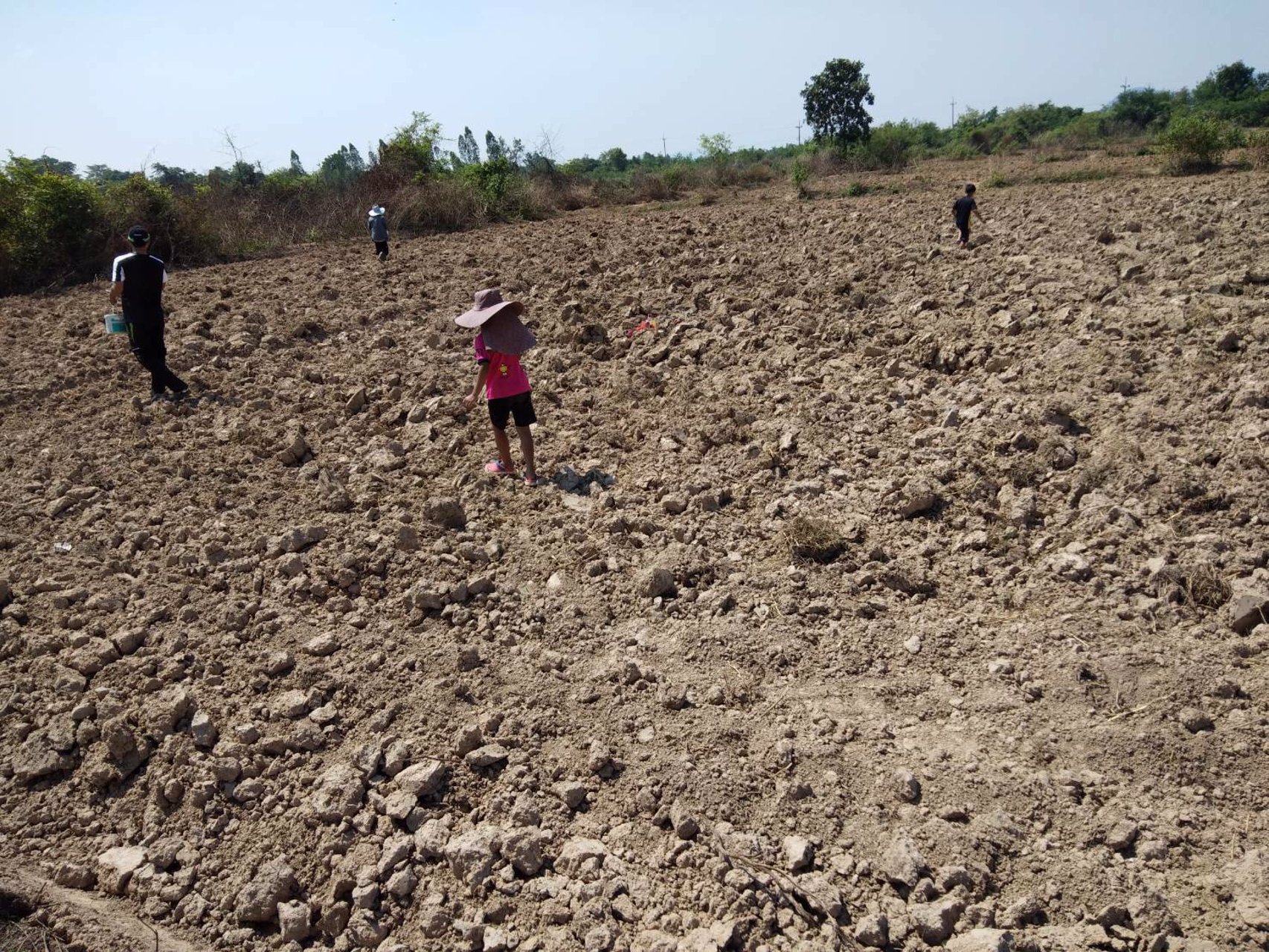 ขาย-ที่ดินทำเลสวย-ใกล้ถนน-3209-เป็นเส้นหลักไป-แยกยางเกาะ-อำเภอด่านมะขามเตี้ย-จังหวัดกาญจนบุรี