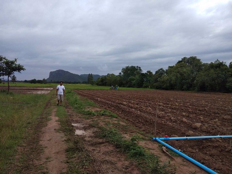 ขาย-ที่ดินทำเลสวย-ใกล้ถนน-3209-เป็นเส้นหลักไป-แยกยางเกาะ-อำเภอด่านมะขามเตี้ย-จังหวัดกาญจนบุรี