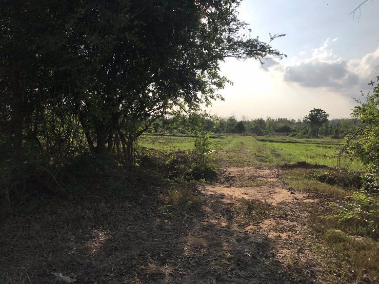 ขาย-ที่ดินทำเลสวย-ใกล้ถนน-3209-เป็นเส้นหลักไป-แยกยางเกาะ-อำเภอด่านมะขามเตี้ย-จังหวัดกาญจนบุรี