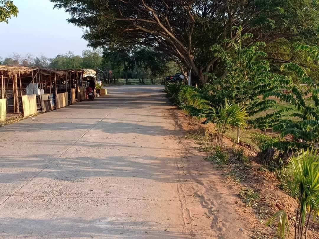 ขาย-ที่ดิน-บึงละหาน-ติดหนองบัวแดง-ใกล้สถานที่ท่องเที่ยวแห่งใหม่ของจังหวัดชัยภูมิ