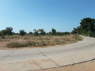 ขาย-ที่ดิน-บึงละหาน-ติดหนองบัวแดง-ใกล้สถานที่ท่องเที่ยวแห่งใหม่ของจังหวัดชัยภูมิ