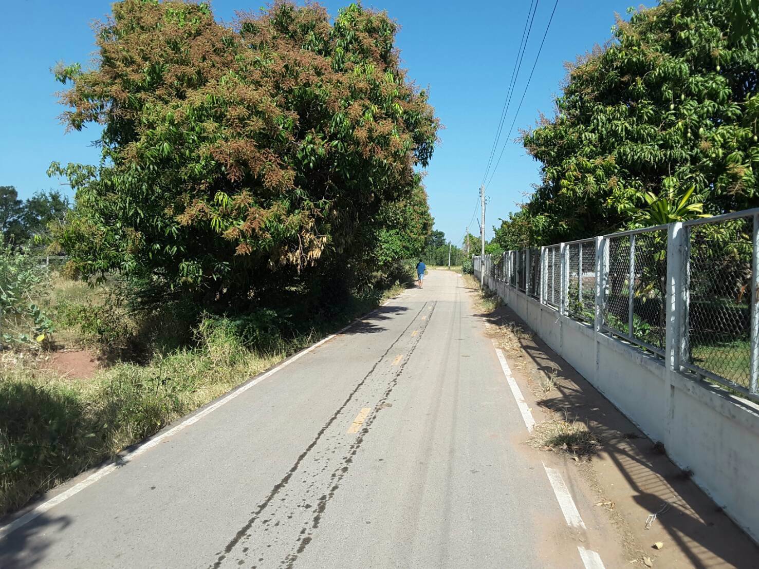 ขาย-ที่ดิน-บึงละหาน-ติดหนองบัวแดง-ใกล้สถานที่ท่องเที่ยวแห่งใหม่ของจังหวัดชัยภูมิ