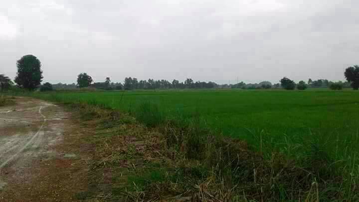 ขายที่ดิน-ทำเลสวย-เหมาะสำหรับทำเป็นแหล่งท่องเที่ยว-หรือทำการเกษตร-อำเภอศรีสำโรง-จังหวัดสุโขทัย