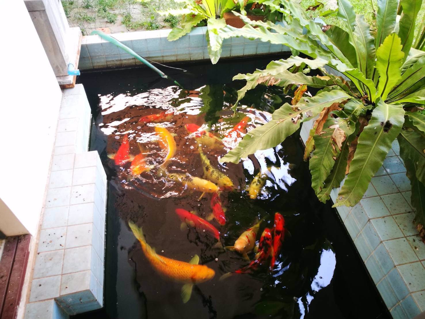 ขาย-บ้านเดี่ยว-2-ชั้น-หมู่บ้านธรรมชาติ1-ซอยไทรม้า-ถนนรัตนาธิเบศร์-อเมือง-จนนทบุรี