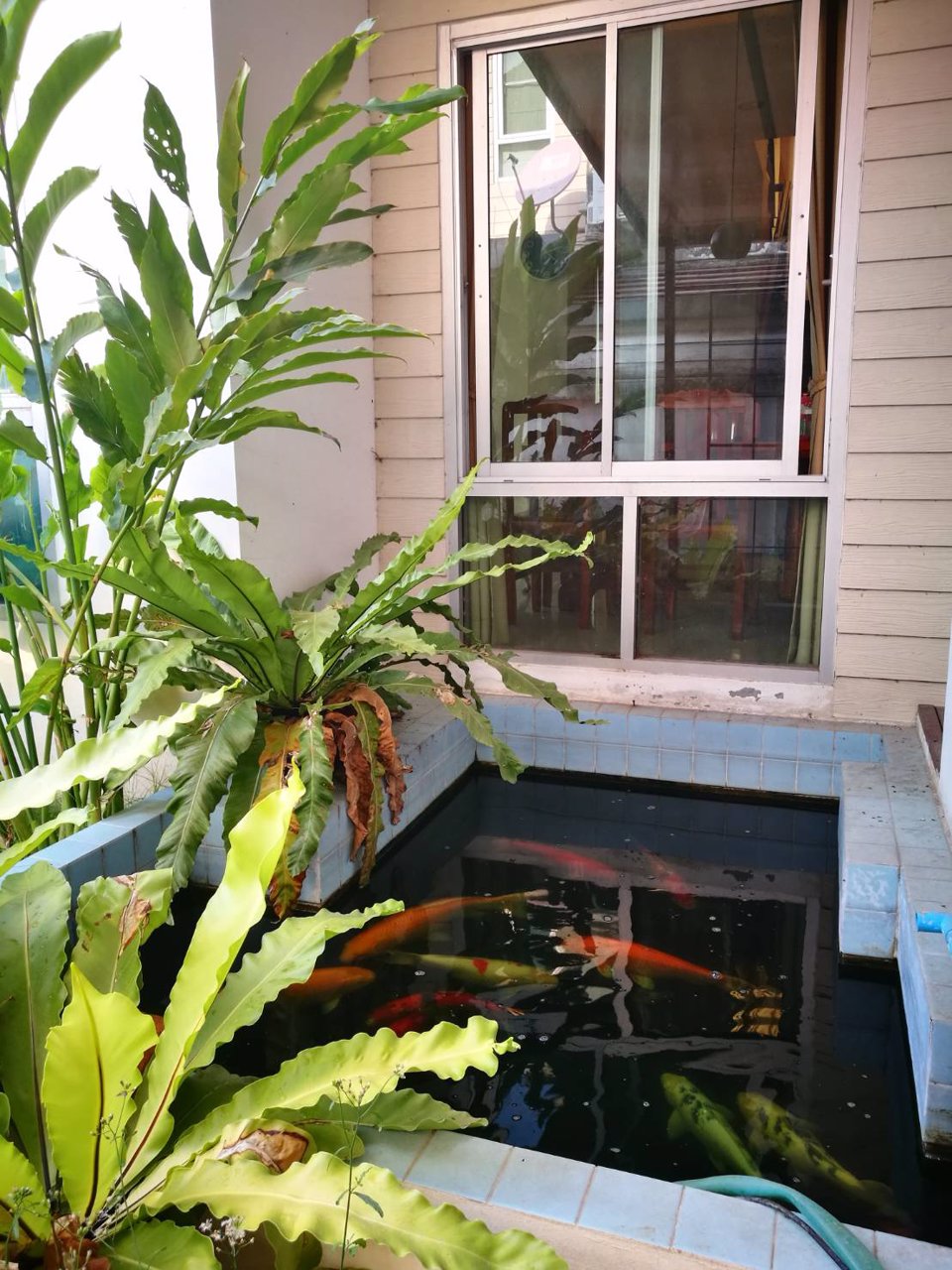 ขาย-บ้านเดี่ยว-2-ชั้น-หมู่บ้านธรรมชาติ1-ซอยไทรม้า-ถนนรัตนาธิเบศร์-อเมือง-จนนทบุรี