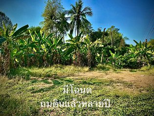ขาย-ที่ดินสวยริมแม่น้ำ-ทำเลดี-ราคาถูก-เมืองพิษณุโลก