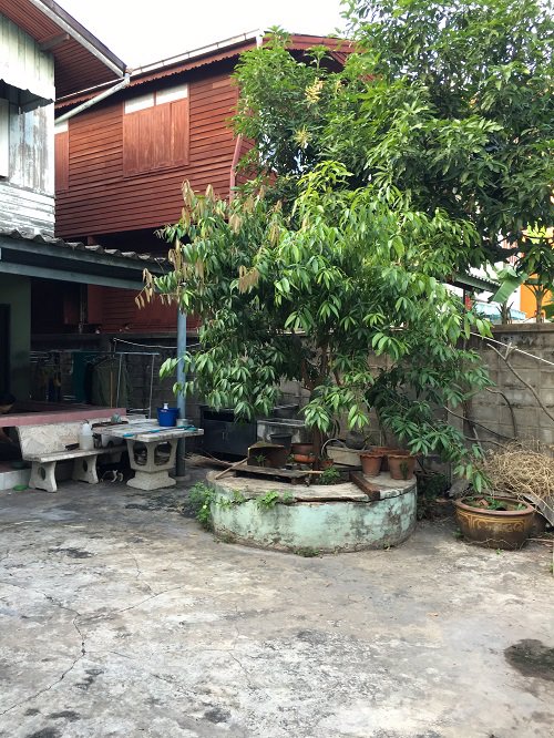 ขาย-บ้านพร้อมที่ดิน-ขนาด-39-ตารางวา-ใกล้-btsกรุงธน-เขตคลองสาน-กรุงเทพฯ