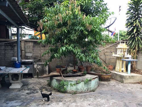 ขาย-บ้านพร้อมที่ดิน-ขนาด-39-ตารางวา-ใกล้-btsกรุงธน-เขตคลองสาน-กรุงเทพฯ