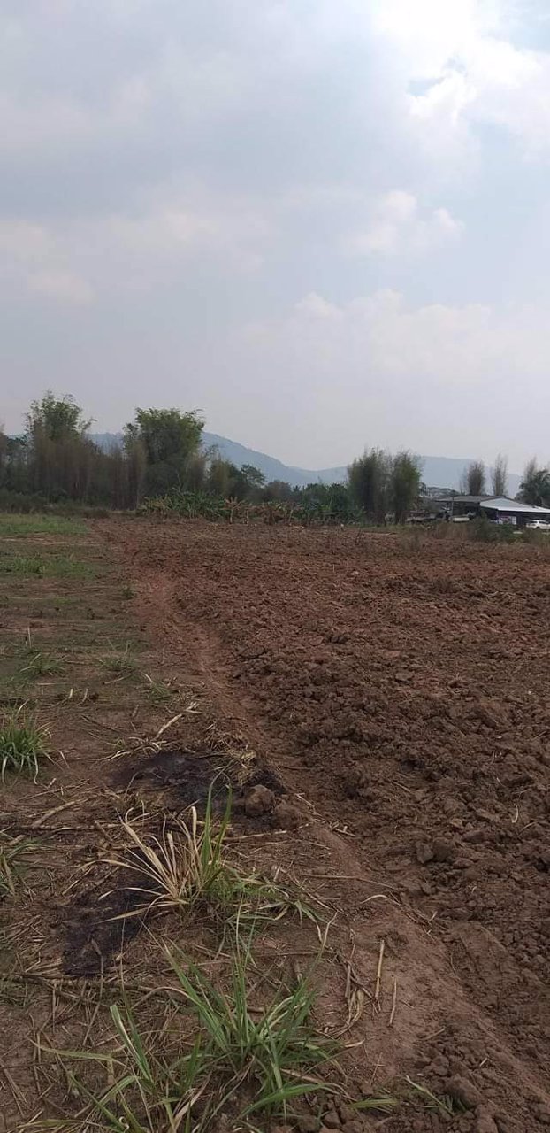 ขาย-ที่ดินทำเลดี-ติดถนน-ติดแหล่งชุมชน-อำเภอปากช่อง-จังหวัดนครราชสีมา